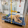 Heavy-Duty Galvanized Steel Dog Kennel for Indoor & Outdoor Use
