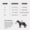 Lightweight Pet Harness and Leash Set