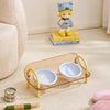 Double Pet Bowl Set with Slow-Feed Design and Splash Control