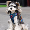 Dog Vest Harness with Leash Options