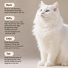Pet Detangling Comb for Long-Haired Cats and Dogs