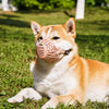 Dog Muzzle with Plastic Frame and Mesh Panel