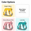 Lightweight Pet Harness and Leash Set