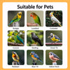Large Stainless Steel Bird Cage for Small & Medium Birds