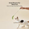 Cat Teaser Wand with Foxtail Attachments