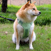 Lightweight Adjustable Vest-Style Dog Harness with Leash