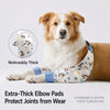 Dog Front-Leg Covering Garment