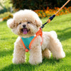 Nylon Dog Vest Harness with Leash