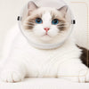Transparent Cat Recovery Cone