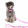 Jeweled Faux Leather Collar for Dogs and Cats