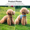 Nylon Vest-Style Dog Harness with Integrated Leash