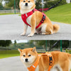 Dog Harness and Leash