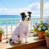 Printed Mesh Four-Leg Dog Shirt for Summer