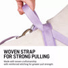 Wraparound Dog Harness