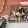 Heavy-Duty Galvanized Steel Dog Kennel for Indoor & Outdoor Use