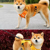 Dog Harness and Leash