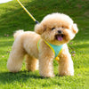 Nylon Dog Vest Harness with Leash