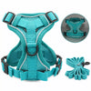 Reflective Nylon Cat Harness and Leash