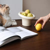 Fafa Ceramic Food & Water Bowl for Dogs and Cats