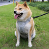 Lightweight Adjustable Vest-Style Dog Harness with Leash