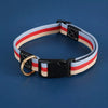 Adjustable Canvas Dog Collar