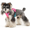 Adjustable Vest-Style Dog Harness & Leash Set