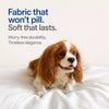 Memory Foam Pet Bed for Small Dogs