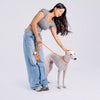 Integrated Dog Collar and Leash with Control Handle