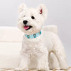 Jeweled Faux Leather Collar for Dogs and Cats