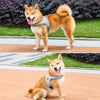 Nylon Vest-Style Dog Harness with Integrated Leash