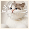 Transparent Cat Recovery Cone