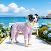 Printed Mesh Four-Leg Dog Shirt for Summer