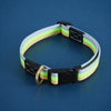 Adjustable Canvas Dog Collar