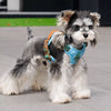Dog Vest Harness with Leash Options