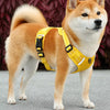 Dog Harness and Leash
