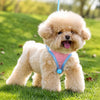 Nylon Dog Vest Harness with Leash