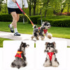 Adjustable Vest-Style Dog Harness & Leash Set
