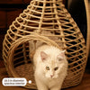 Handwoven Rattan Hanging Basket Pet Bed
