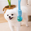 Interactive Rope Tug and Fetch Dog Toys