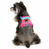 Adjustable Vest-Style Dog Harness & Leash Set