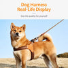 Vest-Style Dog Harness for Small to Medium Dogs