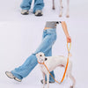 Integrated Dog Collar and Leash with Control Handle
