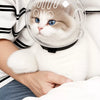 Transparent Cat Recovery Cone