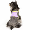 Adjustable Vest-Style Dog Harness & Leash Set