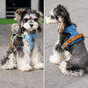 Dog Vest Harness with Leash Options