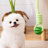 Interactive Rope Tug and Fetch Dog Toys