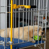 Heavy-Duty Galvanized Steel Dog Kennel for Indoor & Outdoor Use