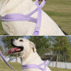 Wraparound Dog Harness