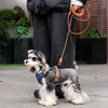 Dog Vest Harness with Leash Options