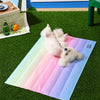Scratch-Resistant Pet Mat for Dogs and Cats